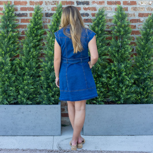 Cap Sleeve Denim Dress
